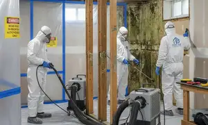 Mold remediation service in Modesto, CA by water damage restoration experts
